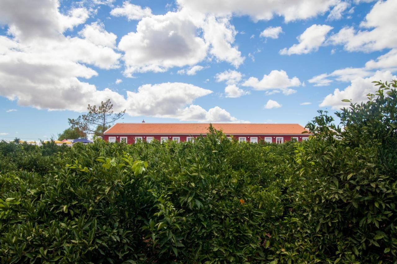 Quinta Dos I'S - Algarve Βίλα Ferrarias  Εξωτερικό φωτογραφία