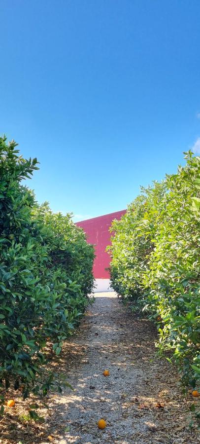 Quinta Dos I'S - Algarve Βίλα Ferrarias  Εξωτερικό φωτογραφία