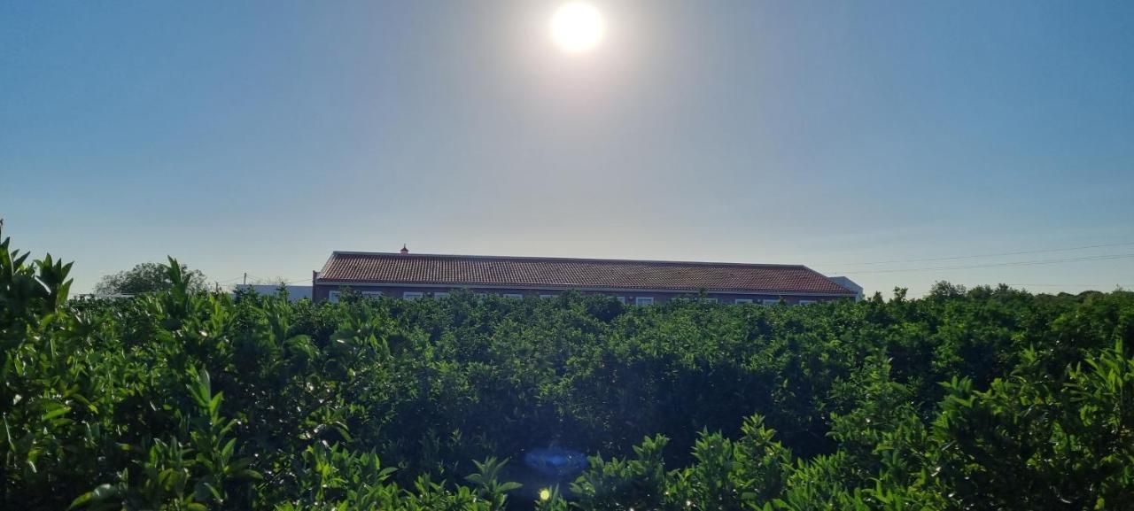 Quinta Dos I'S - Algarve Βίλα Ferrarias  Εξωτερικό φωτογραφία